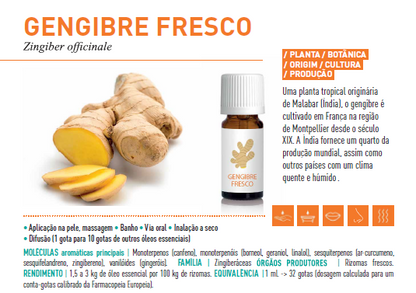 Óleo Essencial de Gengibre 5ml bio | Zingiber officinale .