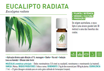 Óleo Essencial de Eucalipto Radiata 10ml bio | Eucalyptus radiata