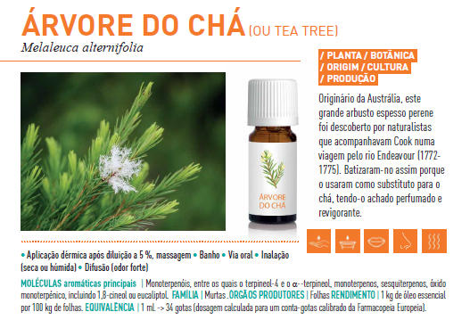 Óleo Essencial de Árvore do Chá BIO 10ml bio | Melaleuca alternifolia (tea tree)