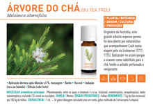 Óleo Essencial de Árvore do Chá BIO 10ml bio | Melaleuca alternifolia (tea tree)