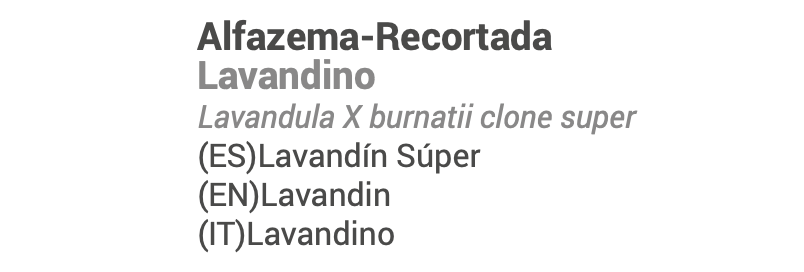 Óleo Essencial Lavandin 10ml  bio | Lavandula X burnatii