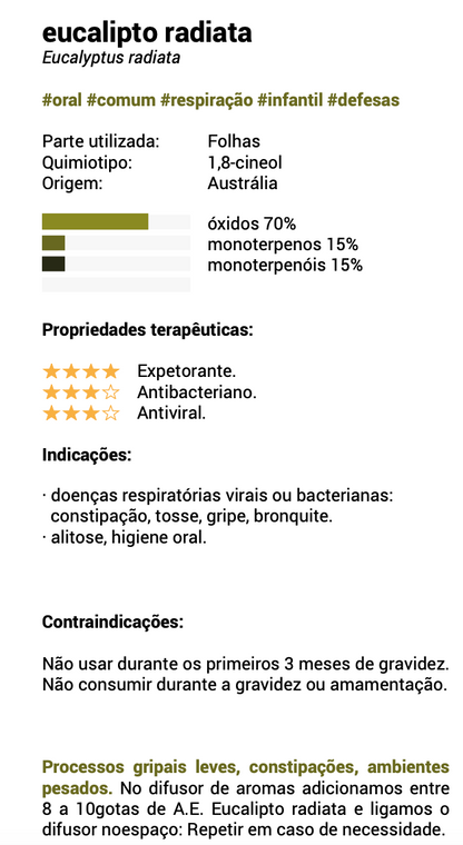 Óleo Essencial Eucalipto | Eucalyptus radiata | BIO