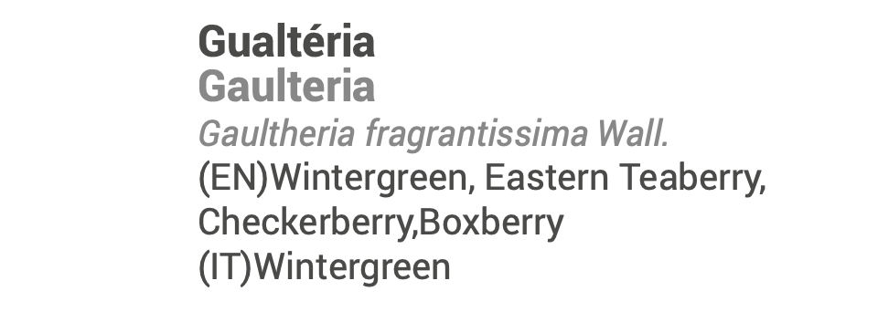 Wintergreen Essential Oil 10ml 🌿 bio | Gaultheria fragrantissima