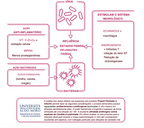 Suplemento natural - Sistema imunitário | Influvin ***
