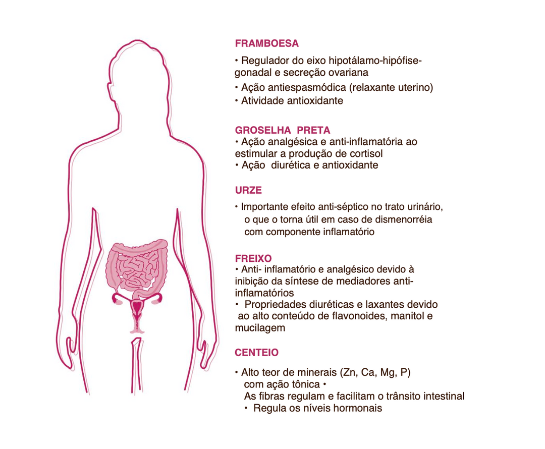 Suplemento natural Dismenovin 🌿bio | Ciclo menstrual