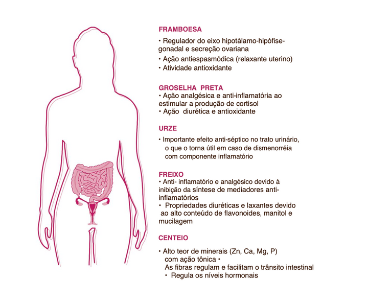 Suplemento natural Dismenovin 🌿bio | Ciclo menstrual
