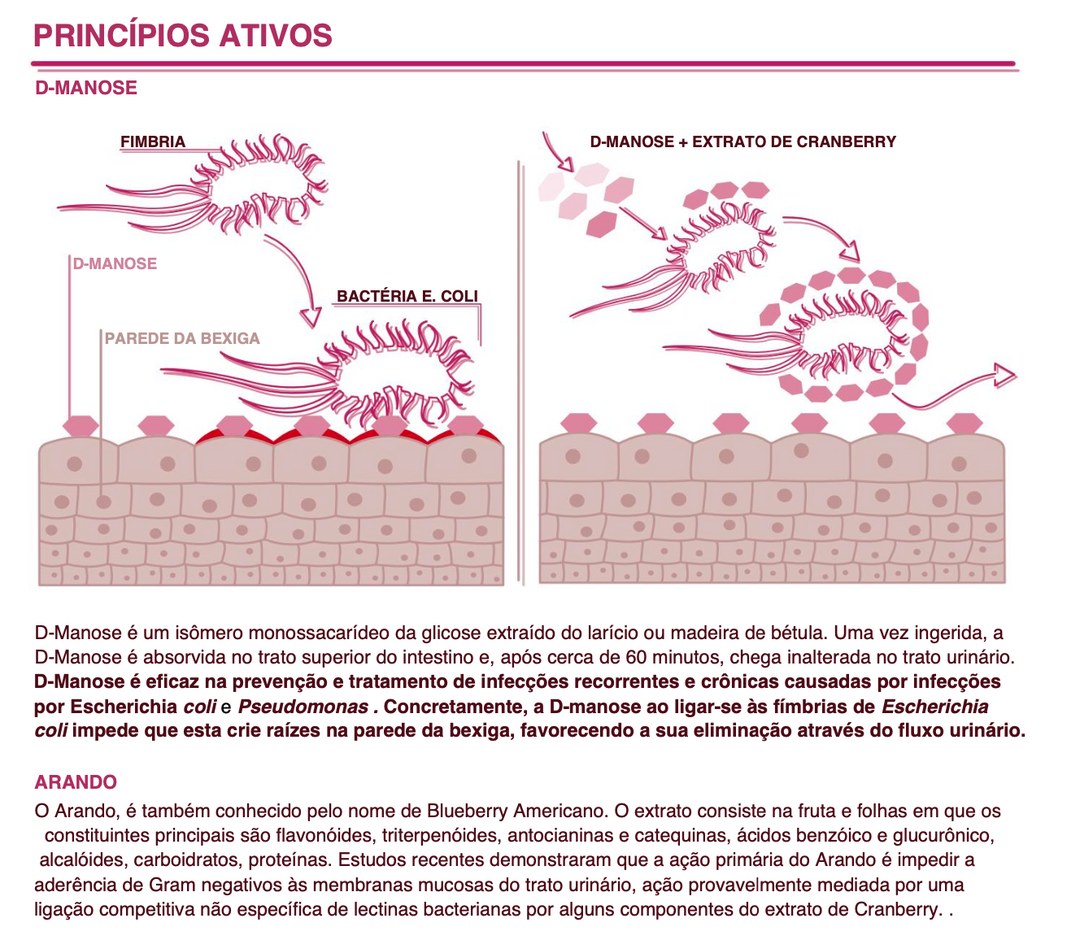 Suplemento natural Feelact | Sistema urinário