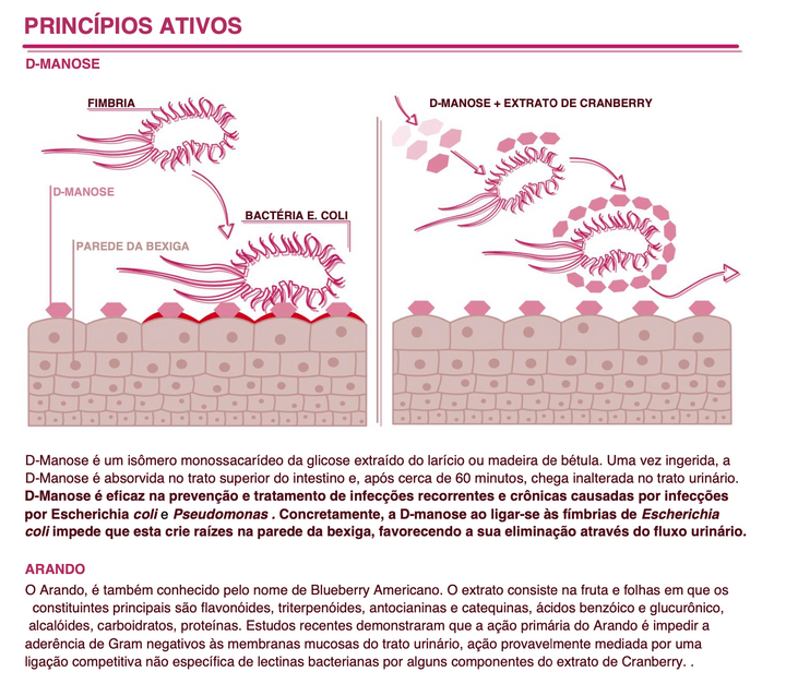 Suplemento natural Feelact | Sistema urinário