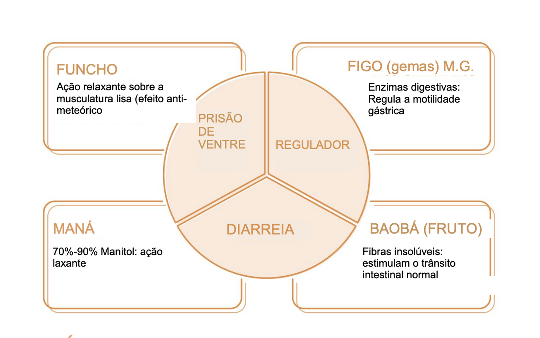 Suplemento natural - Infantil Intestino +3A | Pancini Legger V