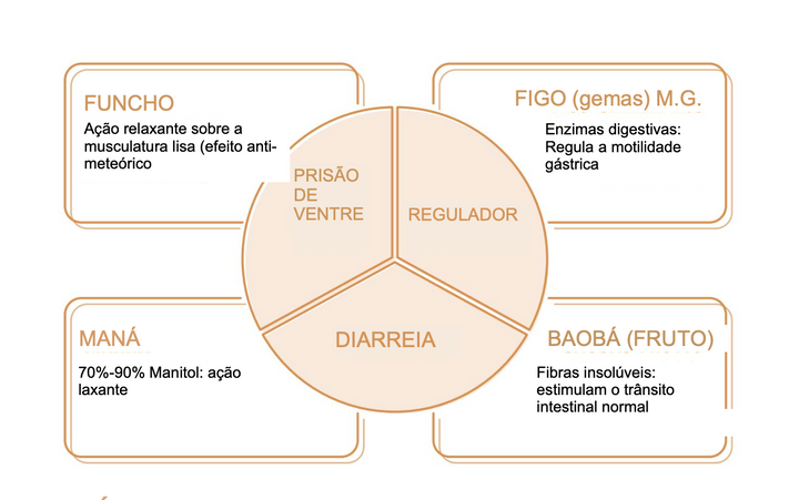 Suplemento natural Pancini Leggeri | Infantil Intestino