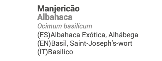 Óleo Essencial de Manjericão Metil Chavicol 10ml bio | Ocimum basilicum