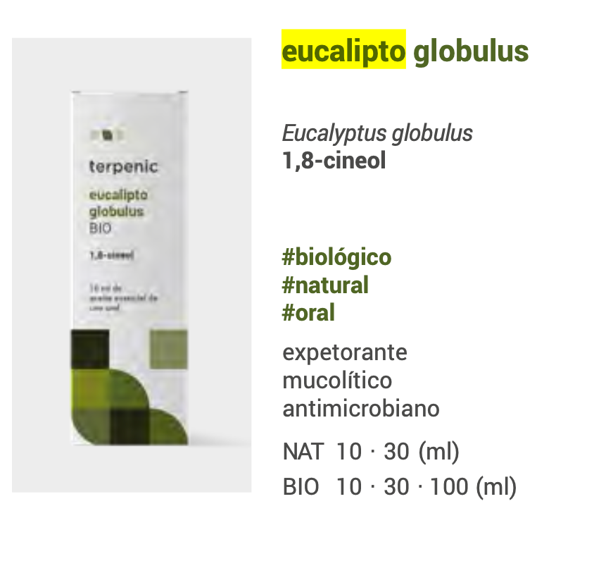 Óleo Essencial Eucalipto 10ml 🌿bio | Eucalyptus globulus