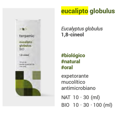 Eucalyptus globulus Huile Essentielle (bio) 10ml 