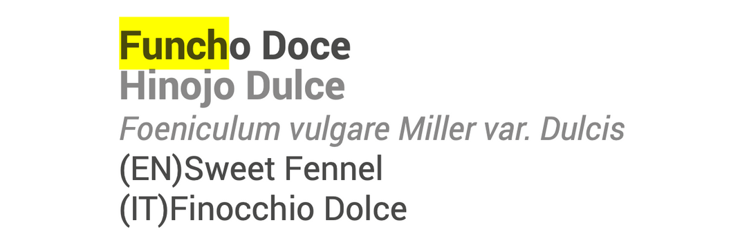 Óleo Essencial Funcho Doce 10ml | Foeniculum vulgare