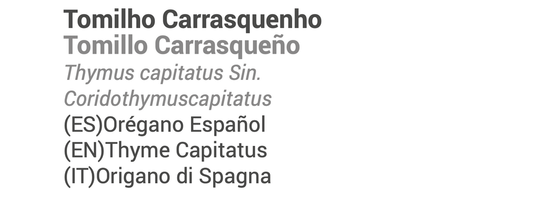Óleo Essencial Tomilho carrasquenho 5ml 🌿bio | Thymus capitatus