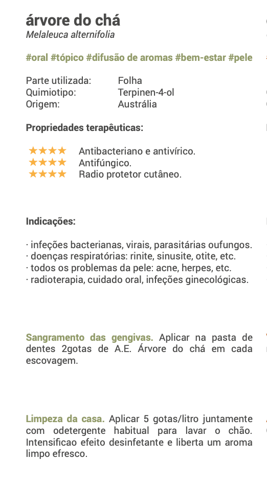 Óleo Essencial Árvore do Chá / Tea tree bio | Melaleuca alternifolia