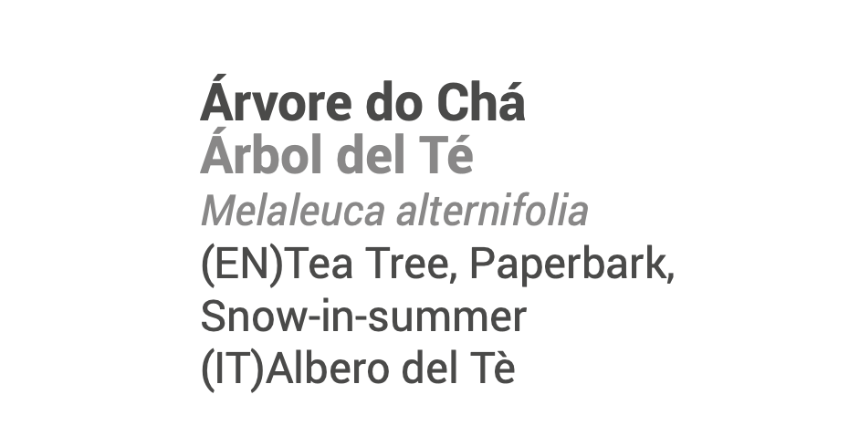 Óleo Essencial Tea tree 🌿bio | Melaleuca alternifolia