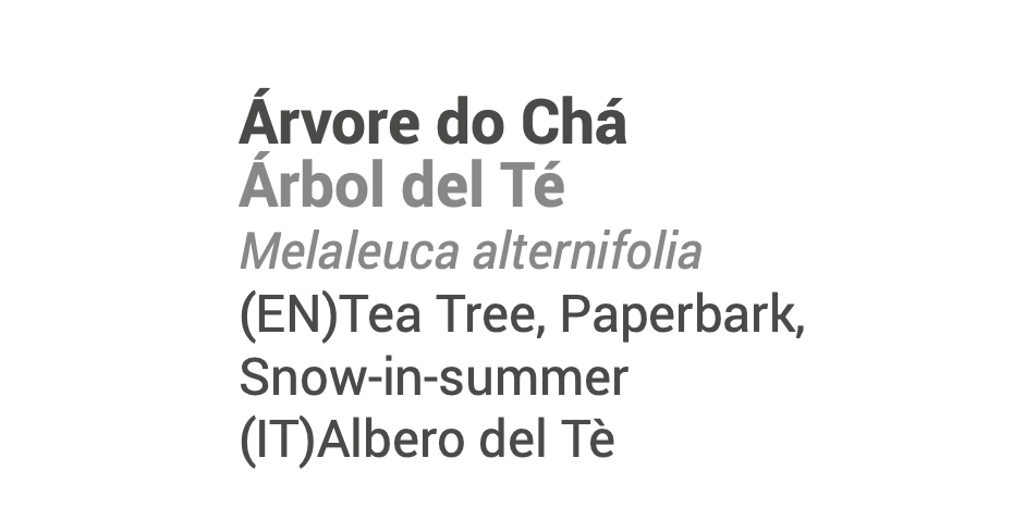 Óleo Essencial Árvore do Chá / Tea tree bio | Melaleuca alternifolia