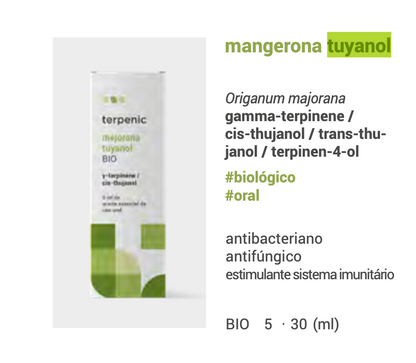 Óleo Essencial Mangerona qt.tujanol 5ml bio | Origanum majorana