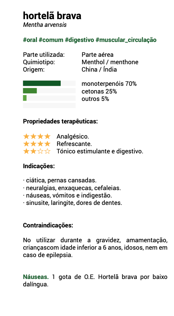 Óleo Essencial Menta do Campo 10ml 🌿bio | Mentha arvensis