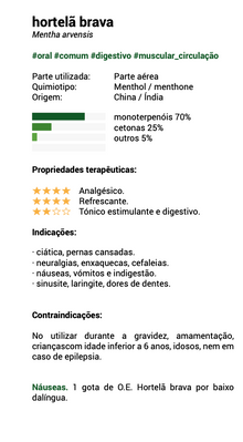 Field Mint Essential Oil (bio) 10ml