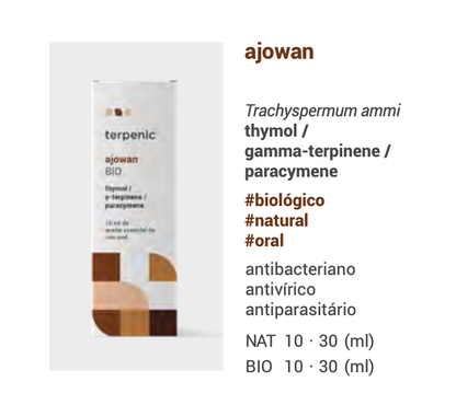 Óleo Essencial Ajowan | Trachyspermum ammi | 10ml