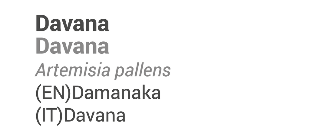 Óleo Essencial Davana 2ml | Artemisia pallens