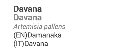Óleo Essencial Davana | Artemisia pallens | 2ml