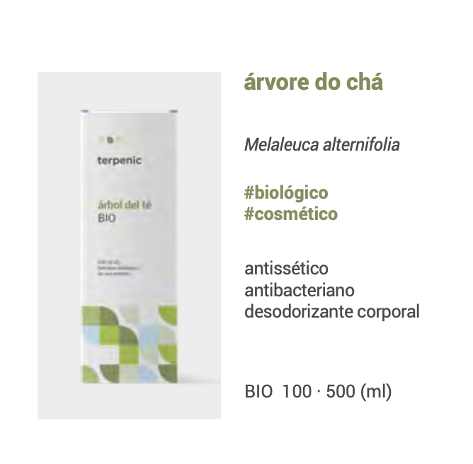 Hidrolato Tea Tree 🌿 bio | oral e cosmético