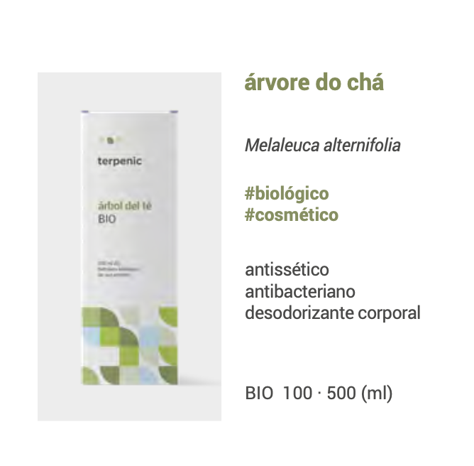 Hidrolato Tea Tree bio | oral e cosmético