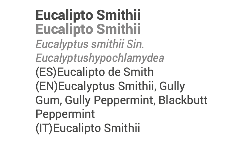 Óleo Essencial Eucalipto Smithii 10ml 🌿bio | Eucalyptus smithii