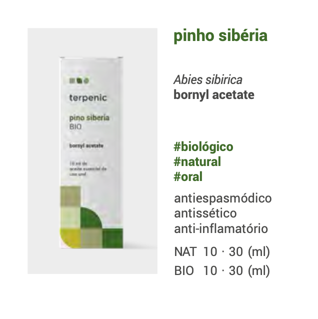 Óleo Essencial Pinho Sibéria 10ml | Abies sibirica