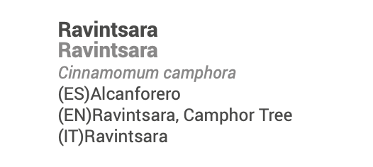 Ravintsara Essential Oil (bio), Cinnamomum camphora 