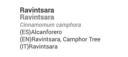 Huile Essentielle de Ravintsara (bio), Cinnamomum camphora 