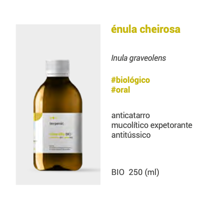 Hidrolato Énula cheirosa 250ml 🌿 bio | oral