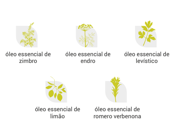 Cápsulas Óleos Essenciais 🌿bio | Detox