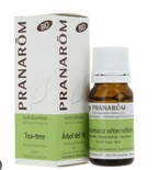 Óleo Essencial Árvore do Chá (tea tree) Melaleuca alternifolia 10ml bio