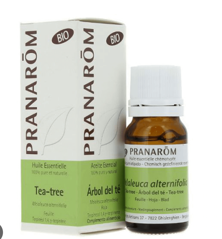Óleo Essencial Árvore do Chá (tea tree) Melaleuca alternifolia 10ml bio