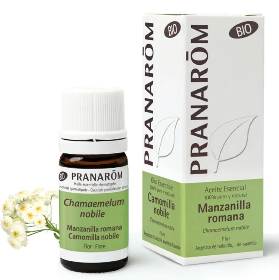 Óleo essencial Camomila Romana Anthemis nobilis 5ml bio