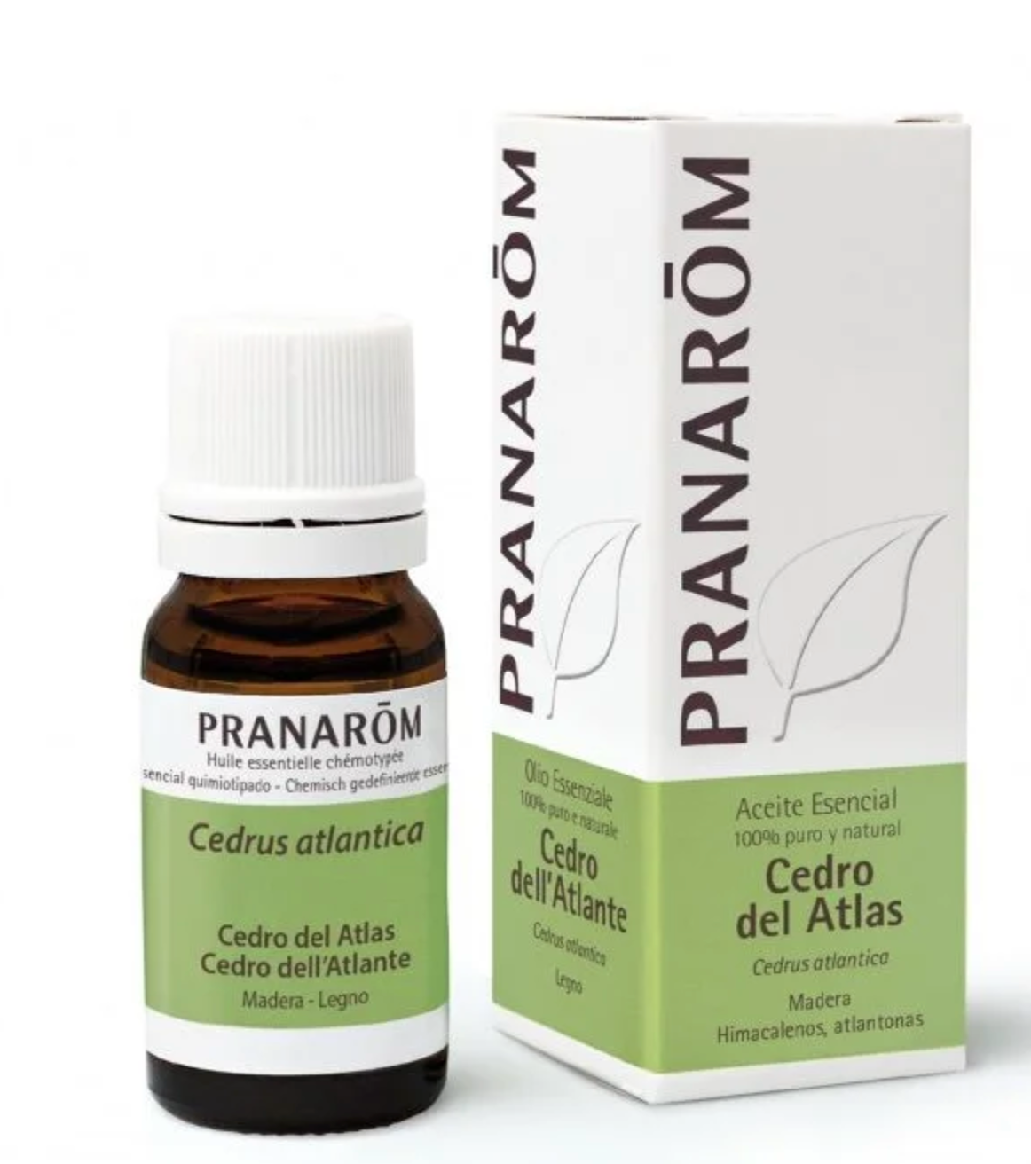 Óleo Essencial Cedro Atlas | Cedrus atlantica | 10ml