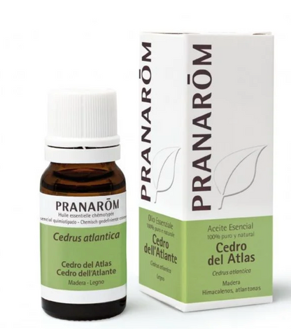 Óleo Essencial Cedro Atlas | Cedrus atlantica | 10ml