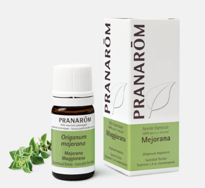 Óleo Essencial Manjerona Origanum marjorana 5ml bio