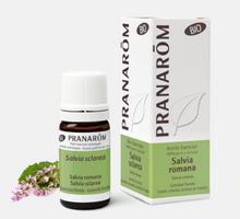 Óleo Essencial Salva - Salvia sclarea 5ml bio