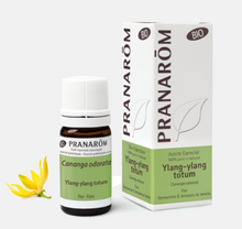 Óleo Essencial Ylang‐ylang Cananga odorata 5ml bio