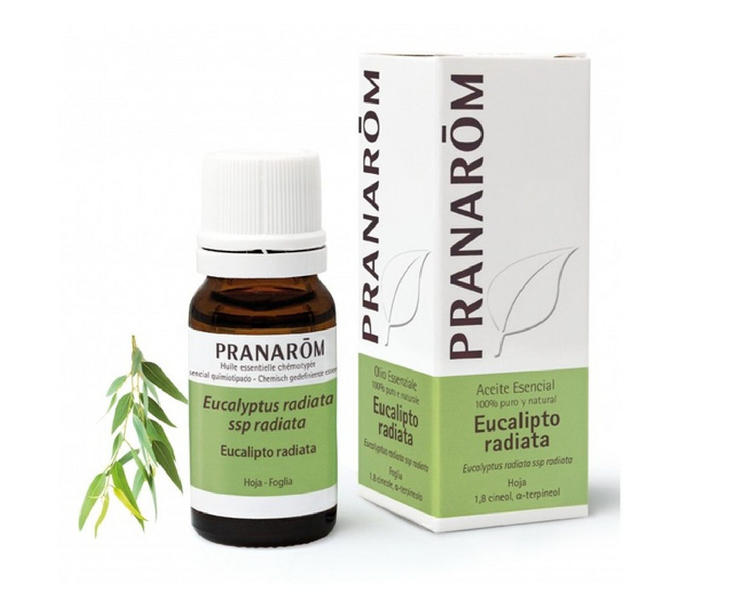 Óleo Essencial Eucalipto | Eucalyptus radiata | BIO | 10ml