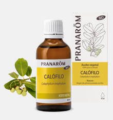 Óleo Vegetal Calófilo (Tamanu) | Calophyllum inophyllum | BIO | 50ml