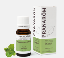 Óleo Essencial Patchouli Pogostemon cablin  BIO 10ml