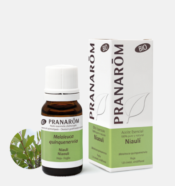 Óleo Essencial Niauli Melaleuca quinquenervia  BIO 10ml