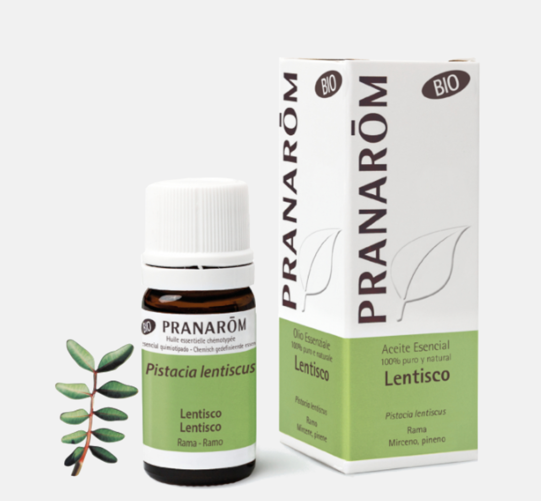 Óleo Essencial Lentisco Pistacia lentiscus  BIO 5ml