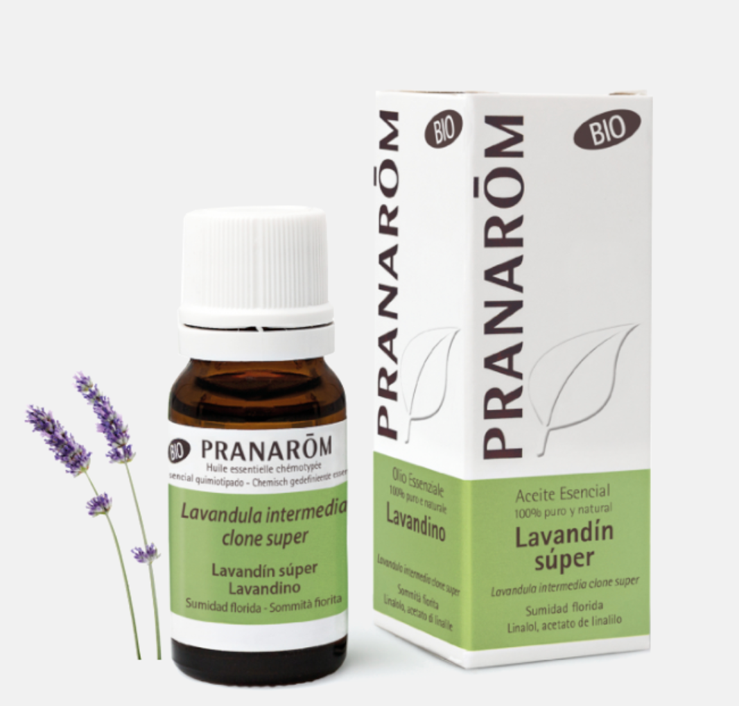 Óleo Essencial Lavandim Super (Intermédia) Lavandula burnatti clone super  BIO 10ml